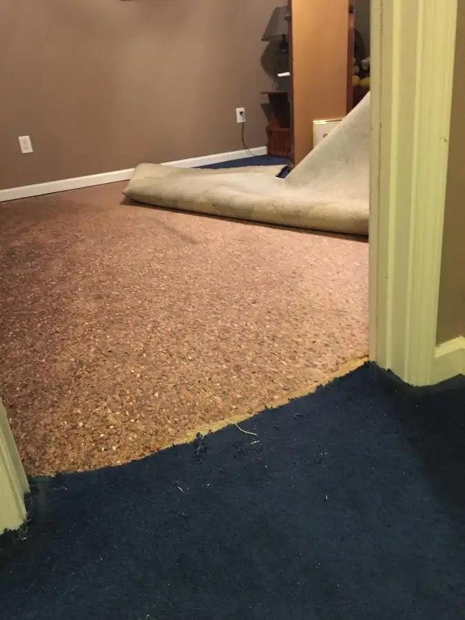 Carpet pad removal revealing water damage during Drying & Dehumidification in Northgate