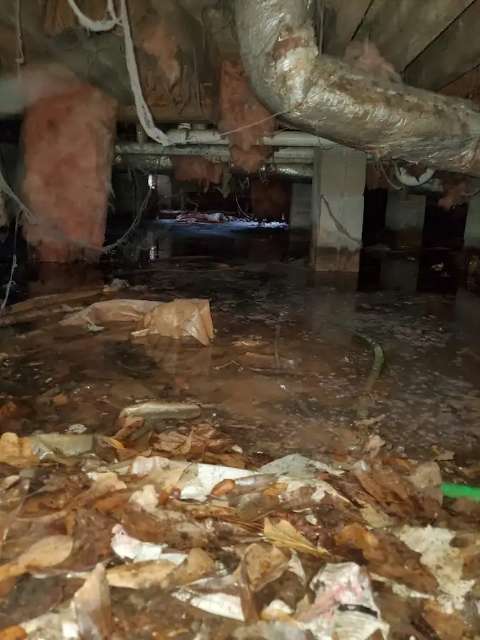 Crawl space flood assessment for Commercial Water Damage Restoration in Northgate