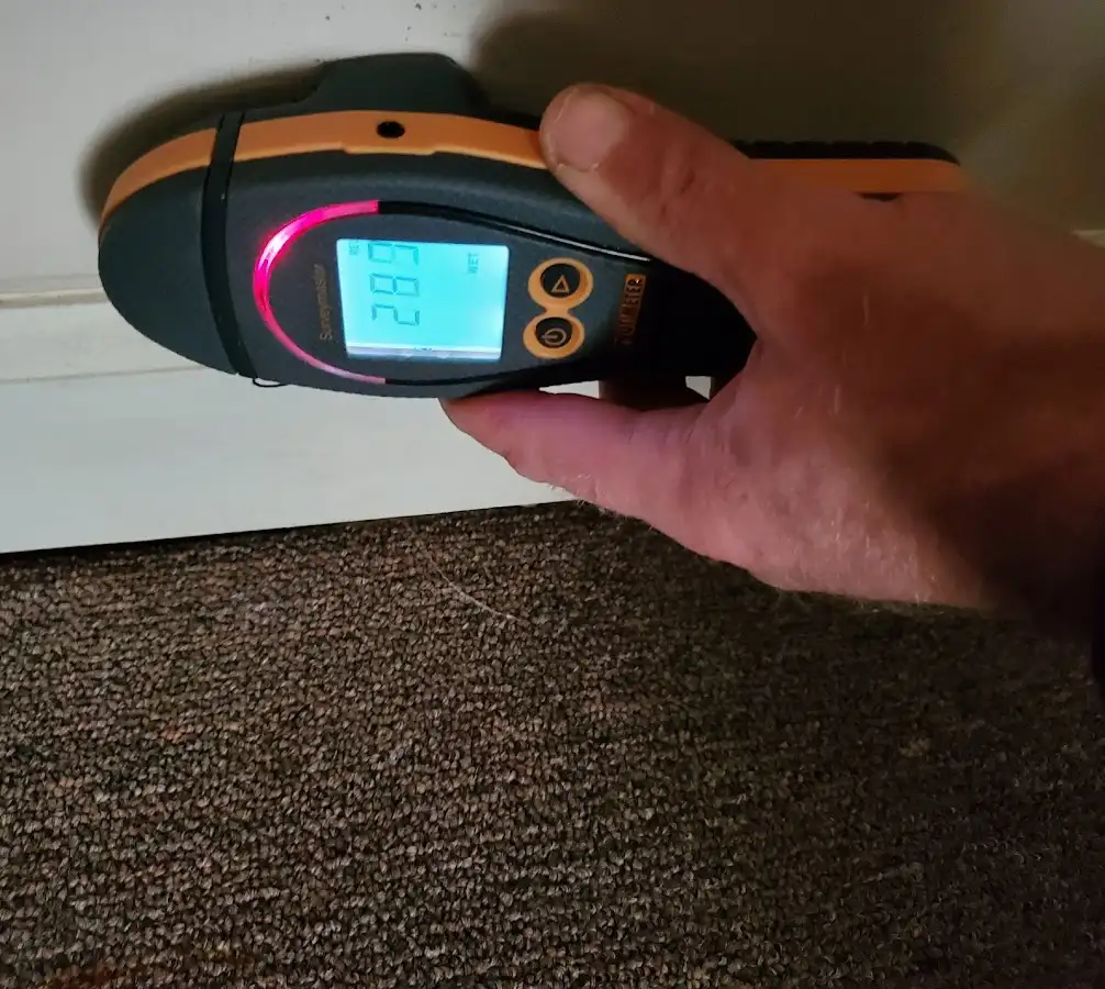 Moisture detection at baseboard during Sewage Cleanup & Sanitation in Northgate